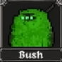Bush