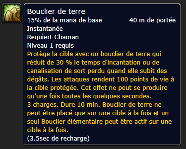 Position Runes Chaman DE BOUCLIER DE TERRE - JAMBES