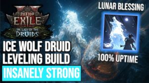 S-TIER | BUILD DRUID ICE WOLF SHAMAN - LEVELING (@Vinidiction) | SAISON 4
