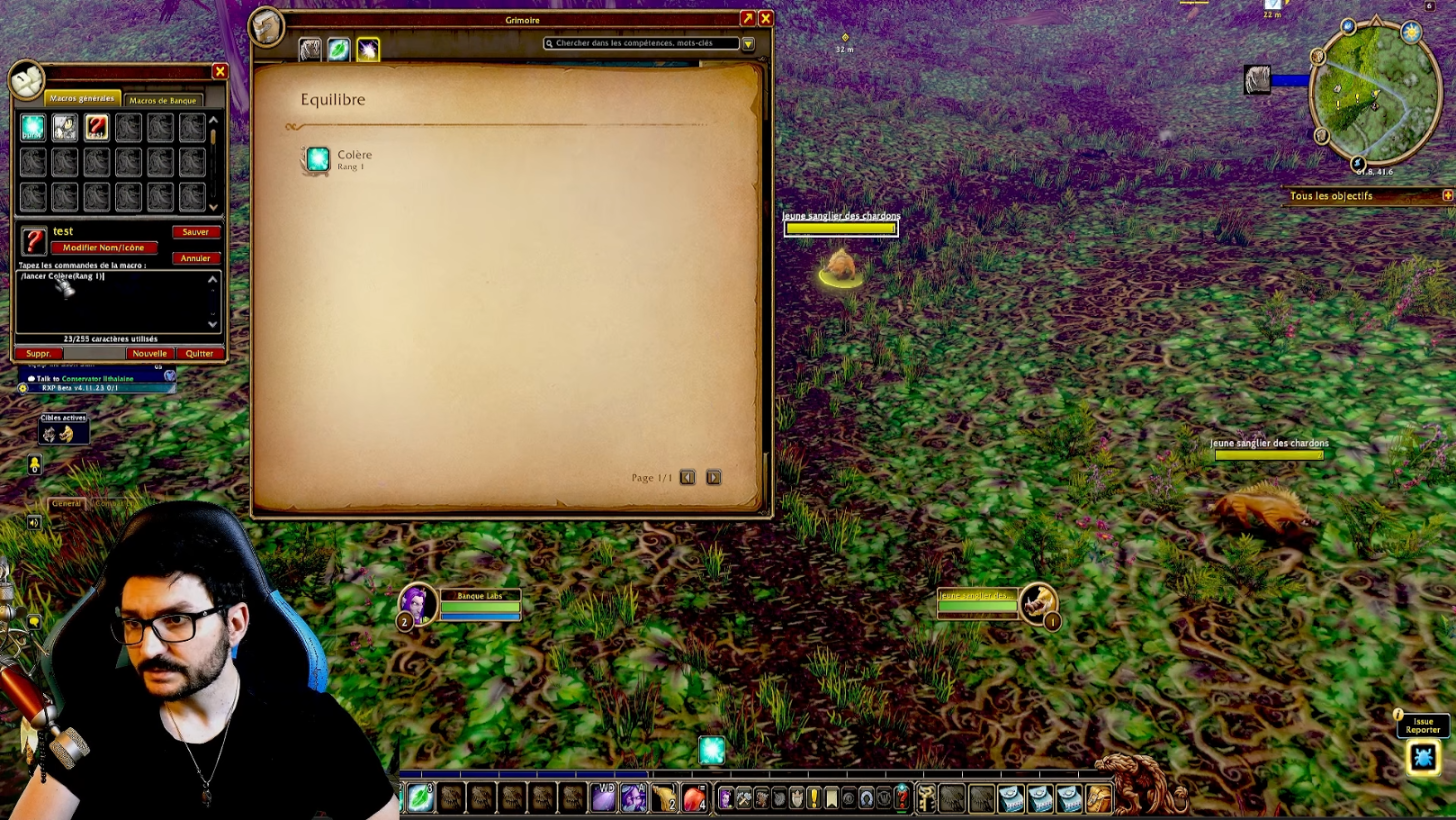 WoW Forever Beginner Guide: Server, Keys, Addons