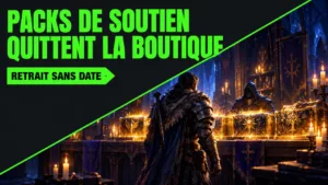 Les packs de soutien de PoE 2 quittent la boutique : faut-il acheter ?