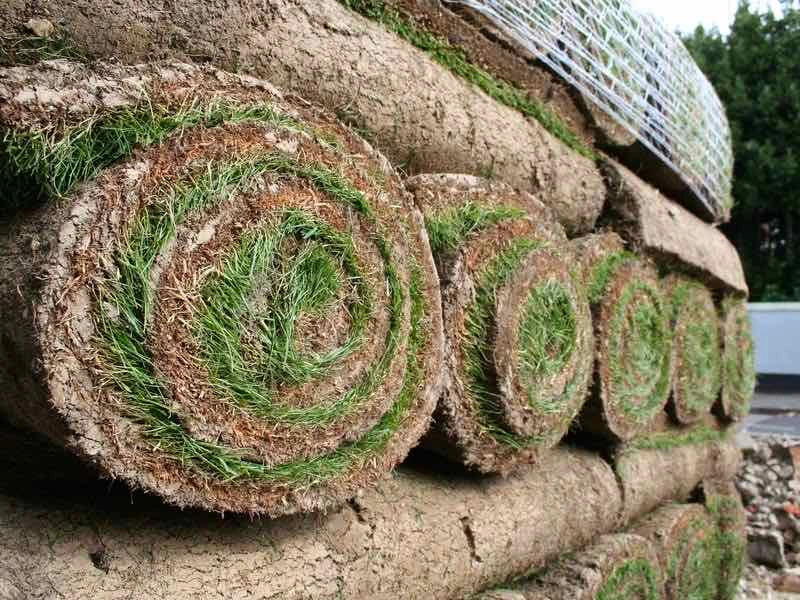 Rouleaux de gazon empilés prêts à poser, dont la tranche montre la terre et l'herbe enroulées ensemble