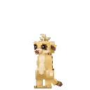 Suricate (Meerkat) - Créature Hytale Zone 2