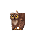 Brown Owl