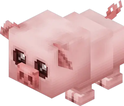 Porcelet (Piglet) - Créature passive Hytale