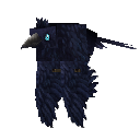Grand Corbeau (Raven) - Oiseau Hytale